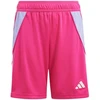 Jaunimo šortai Tiro 24 IT2423 adidas