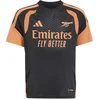Jaunimo treniruočių marškinėliai Adidas Arsenal London FC 2026/27 Tiro KC2422