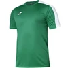 Joma Academy III marškinėliai trumpomis rankovėmis 101656.452