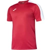 Joma Academy III marškinėliai trumpomis rankovėmis 101656.602