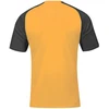 Joma Academy IV futbolo marškinėliai 101968.081