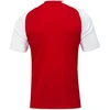 Joma Academy IV futbolo marškinėliai 101968.602