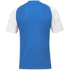 Joma Academy IV futbolo marškinėliai 101968.702