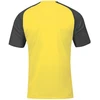 Joma Academy IV futbolo marškinėliai 101968.901
