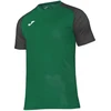 Joma Academy IV Sleeve futbolo marškinėliai 101968.451