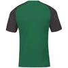 Joma Academy IV Sleeve futbolo marškinėliai 101968.451