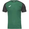 Joma Academy IV Sleeve futbolo marškinėliai 101968.451