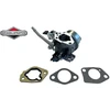 KARBIURATORIUS BRIGGS&amp;STRATTON 799882 Originali dalis