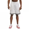 Karl Kani Small Signature Pinstripe Mesh Short M 6014921