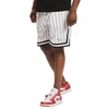 Karl Kani Small Signature Pinstripe Mesh Short M 6014921