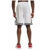 Karl Kani Small Signature Pinstripe Mesh Short M 6014921