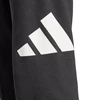 Kelnės Adidas Essentials Big Logo French Terry M IN6163