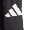 Kelnės Adidas Essentials Big Logo French Terry M IN6163