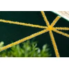 Kilimas GEOMETRIC, tamsiai žalias su auksiniais akcentais ESTEMA