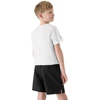 Komplektas 4F M085 Jr 4FJWAW25TAPSM085 20S