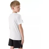 Komplektas 4F M085 Jr 4FJWAW25TAPSM085 20S