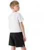Komplektas 4F M085 Jr 4FJWAW25TAPSM085 20S