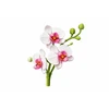 Konstruktorius gėlė „Orchidėja