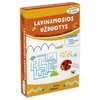 Lavinamosios užduotys. Edukacinių kortelių rinkinys. 4-5 metų vaikams