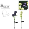 LED sodo dekoracija „Česnakas“ , 68 cm