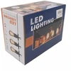 LED sodo girlianda "Flash"