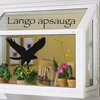 Lipdukas Apsaugai Nuo Paukščių Atsitrenkimo Į Langus