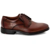 Lloyd KENTUCKY 19-360-03 batai