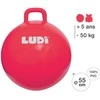 LUDI šokinėjimo kamuolys, raudonas 55 cm