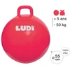 LUDI šokinėjimo kamuolys, raudonas 55 cm