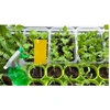 Magnet start yellow (7x14cm) baltasparnių, blakučių, amarų gaudyklės, 12 vnt