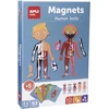 Magnetinis žaidimas-dėlionė „Žmogaus kūnas”