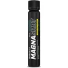 BioTech Energetinis gėrimas Magna Shot 20x25ml