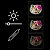 Manta Hello Kitty LED neoninis veidrodis