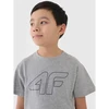 Marškinėliai 4F Jr 4FJWMM00TTSHM2331-25M