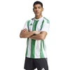 Marškinėliai Adidas Striped 24 JSY M IW2148
