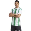 Marškinėliai Adidas Striped 24 JSY M IW2148
