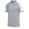 Marškinėliai Nike Dri-FIT Trophy VI HV8151-012