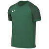 Marškinėliai Nike Dri-FIT Trophy VI HV8151-302