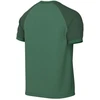 Marškinėliai Nike Dri-FIT Trophy VI HV8151-302