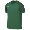 Marškinėliai Nike Dri-FIT Trophy VI HV8151-302
