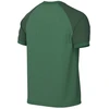 Marškinėliai Nike Dri-FIT Trophy VI HV8151-302