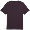 Marškinėliai Puma Essential Logo Tee M 586667 18