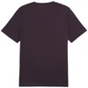 Marškinėliai Puma Essential Logo Tee M 586667 18