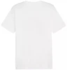 Marškinėliai Puma Graphics Summer Sports Tee II M 627909 02