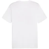 Marškinėliai Puma Graphics Summer Sports Tee II M 627909 02