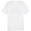 Marškinėliai Puma Graphics Summer Sports Tee II M 627909 02