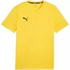 Marškinėliai Puma Team Goal Casuals Tee M 658615 07