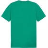 Marškinėliai Puma Team Goal Casuals Tee M 658615 05