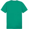 Marškinėliai Puma Team Goal Casuals Tee M 658615 05