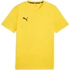 Marškinėliai Puma Team Goal Casuals Tee M 658615 07
